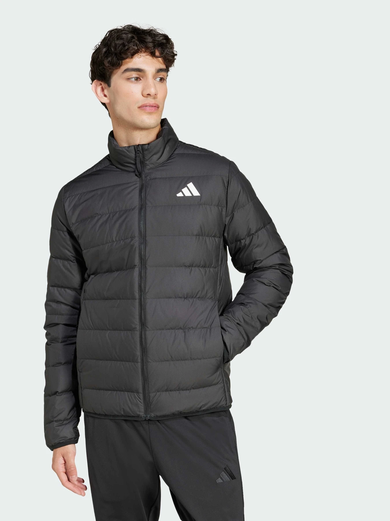 Куртки и дубленки Adidas модель JD1046 Куртки и дубленки Adidas модель JD1046 Фото