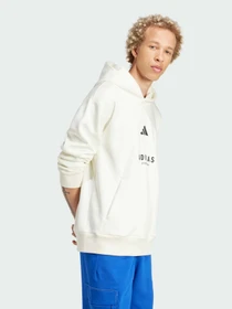 Худи и свитшоты Adidas модель JJ3668 Фото