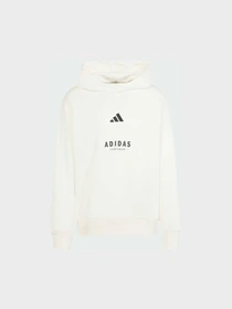 Худи и свитшоты Adidas модель JJ3668 Фото