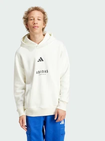 Худи и свитшоты Adidas модель JJ3668 Фото