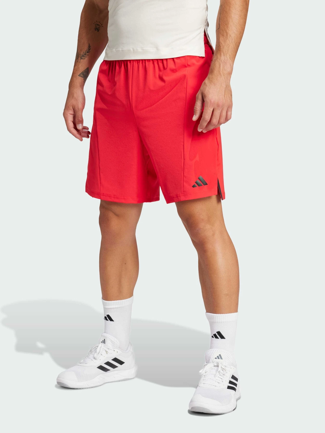 Шорты Adidas модель JI8152 Фото