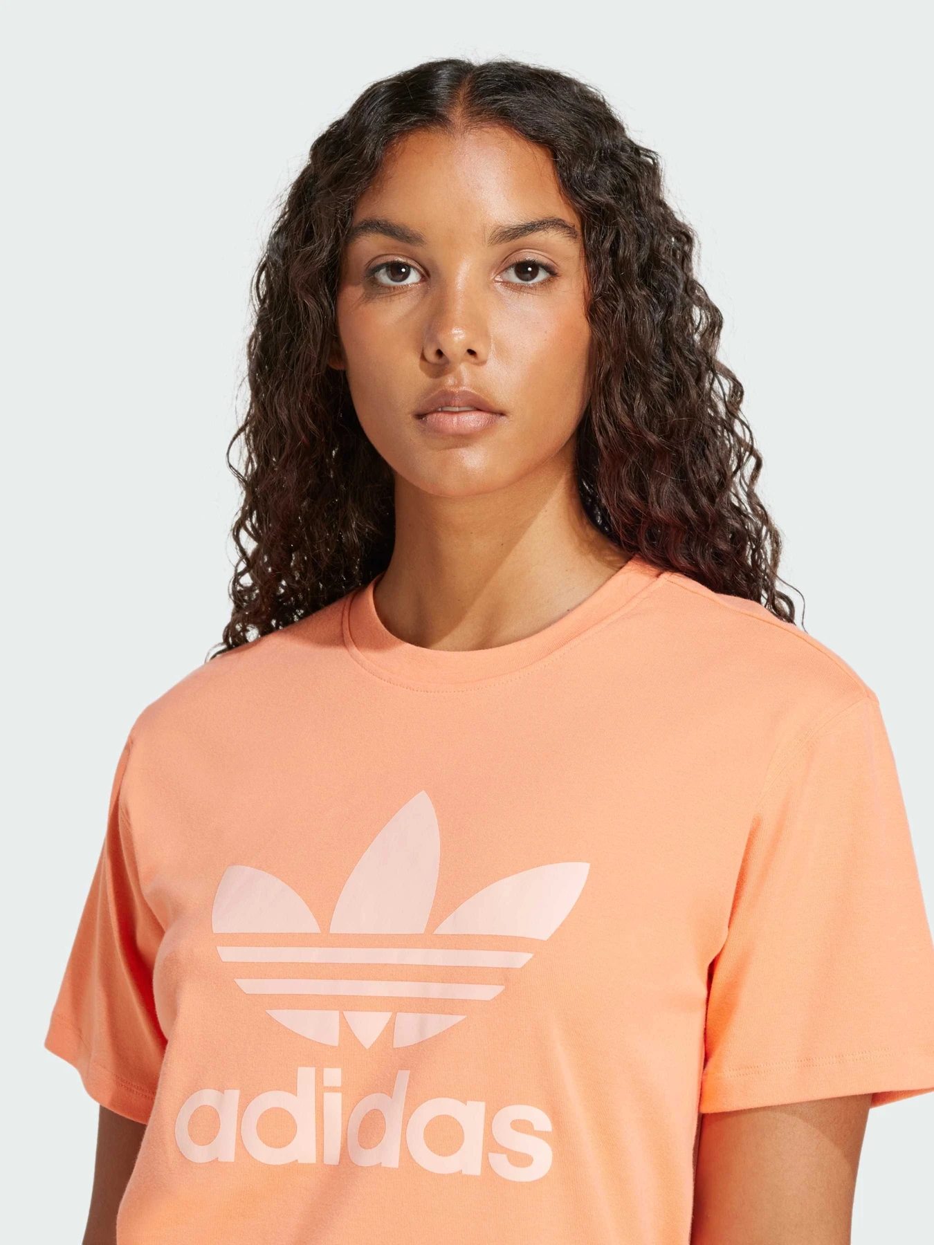 Футболки и поло Adidas Adicolor модель JD3138 Фото