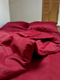 Підковдра класична винна Cozy модель 11781253 Фото