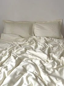 Підковдра шампань з вишитими гілками Cozy модель 12042400 Фото