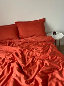 Простирадло на резинці морквяне Cozy модель 11501043 Фото