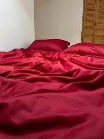 Простирадло на резинці винне Cozy модель 11781243 Фото