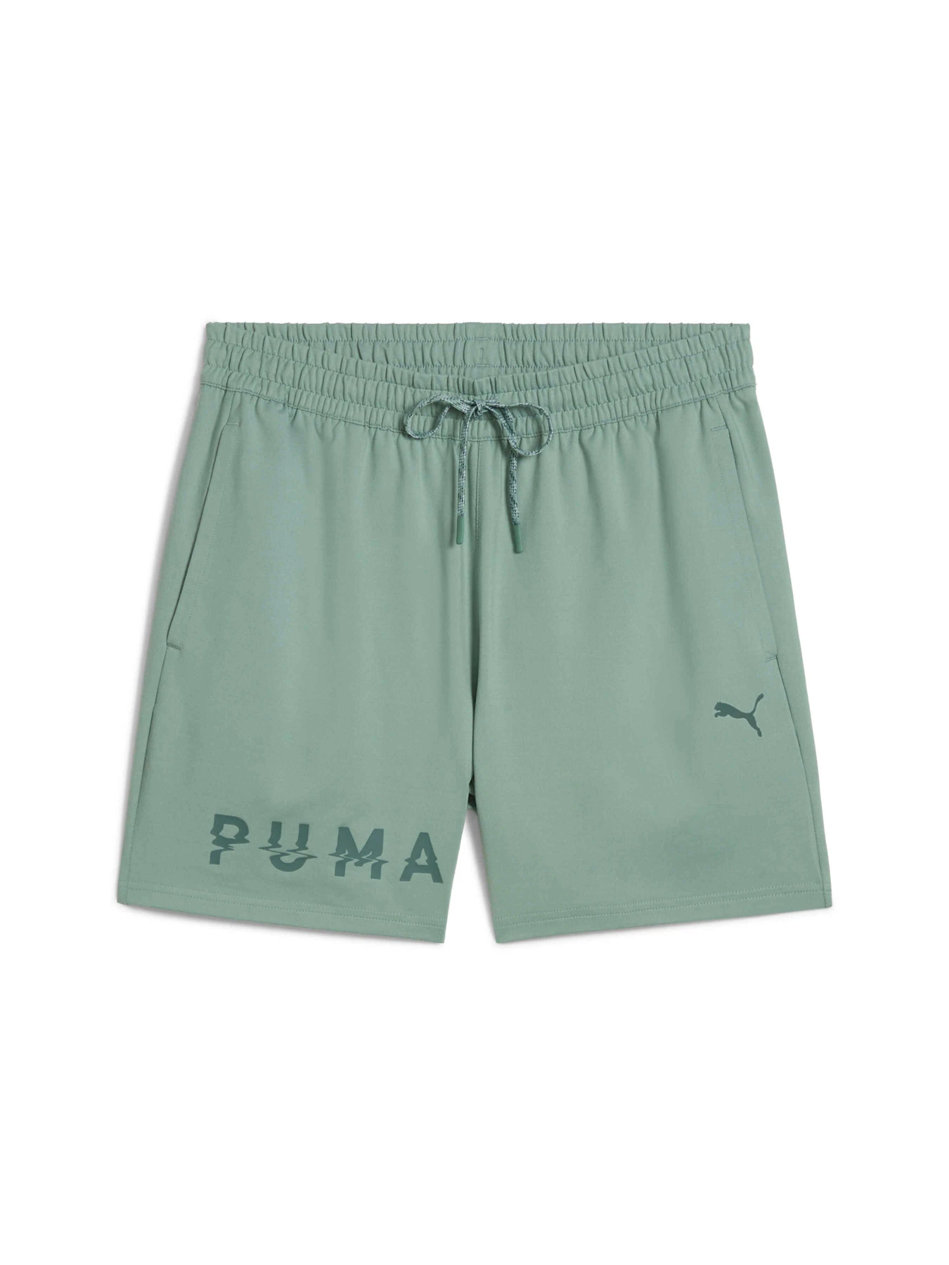 Шорты PUMA Cloudspun Branded 5" Short модель 526690 Фото