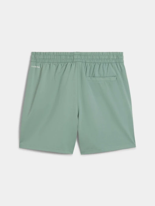 Чоловічі Спортивні шорти PUMA Cloudspun Branded 5 Short фото 2