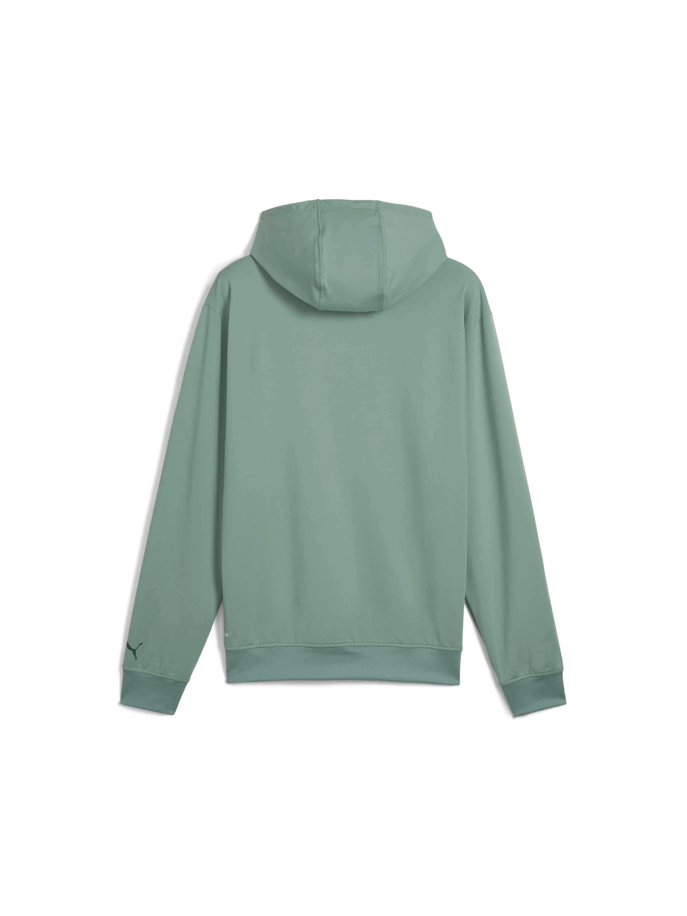 Худі та світшоти PUMA Cloudspun Branded Hoodie модель 526678 Худі та світшоти PUMA Cloudspun Branded Hoodie модель 526678 Фото