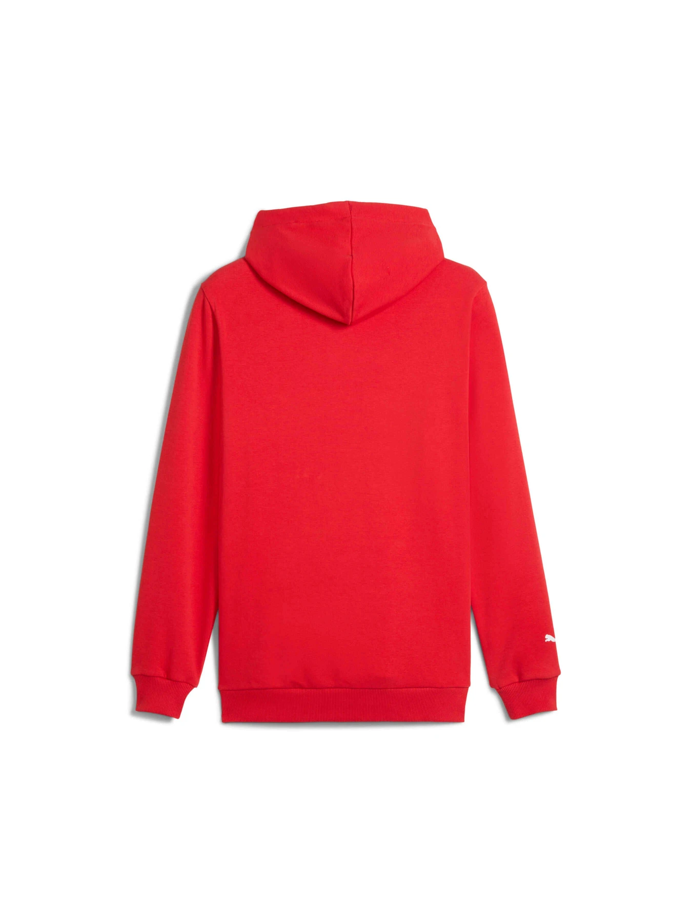 Худи и свитшоты PUMA F1 Ess Logo Hoodie модель 625853 Фото