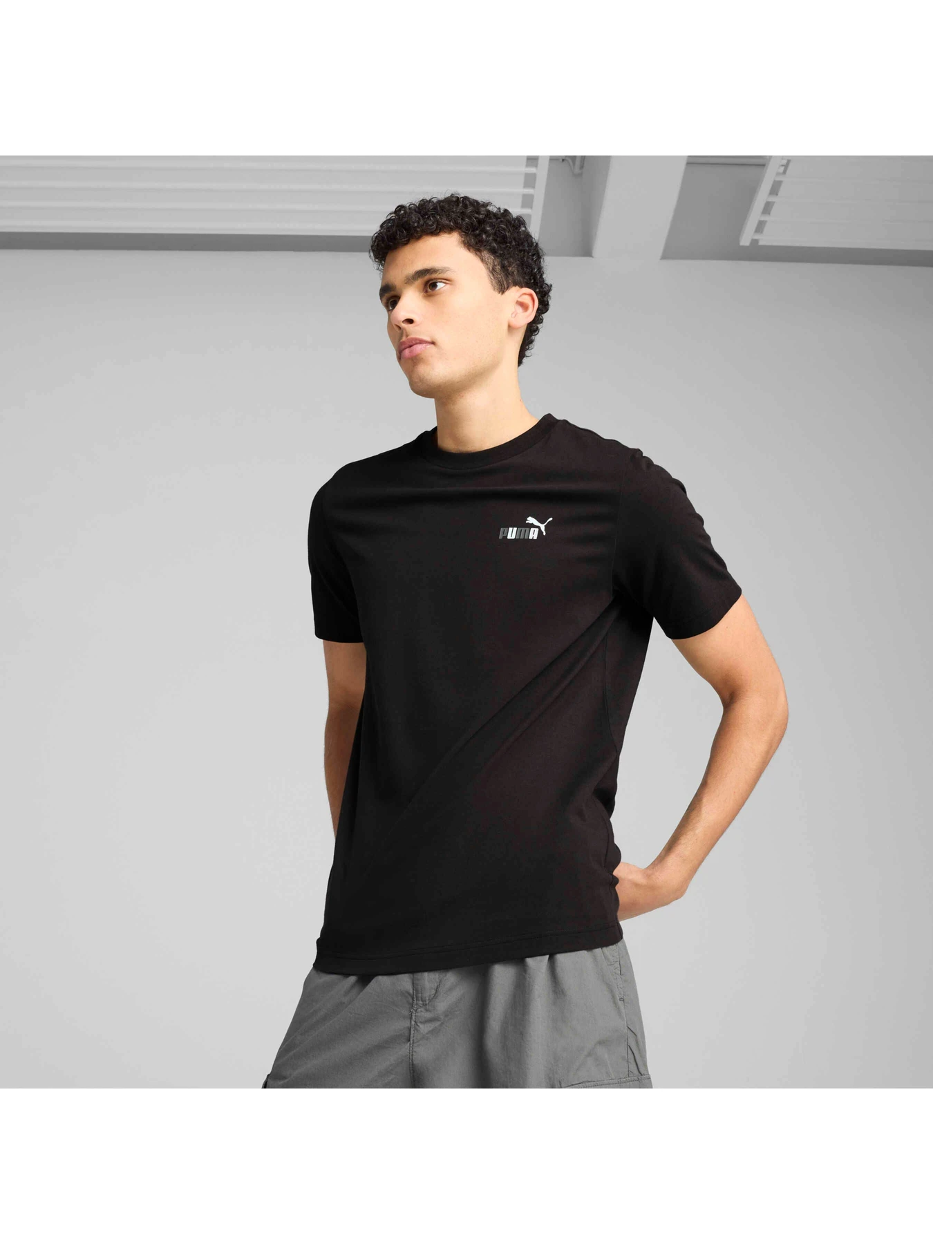 Футболки і поло PUMA Graphics Back Tee модель 684832 Футболки і поло PUMA Graphics Back Tee модель 684832 Фото