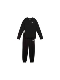 Костюмы PUMA Relaxed Sweat Suit Tr Cl модель 685074 Фото