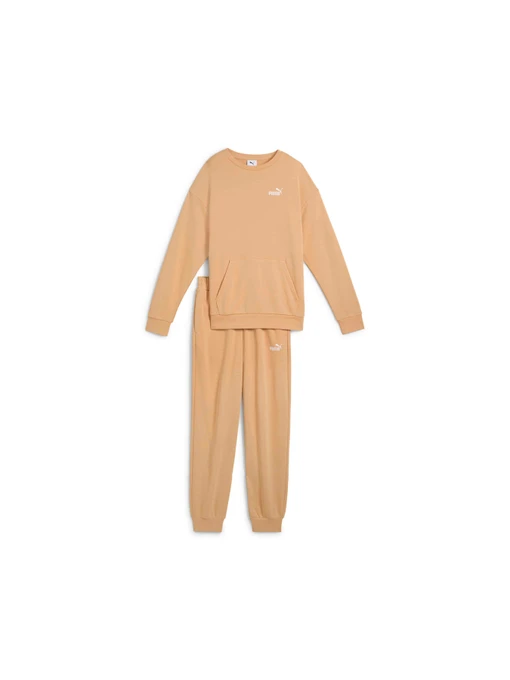 Костюмы PUMA Relaxed Sweat Suit Tr Cl модель 685074 Фото