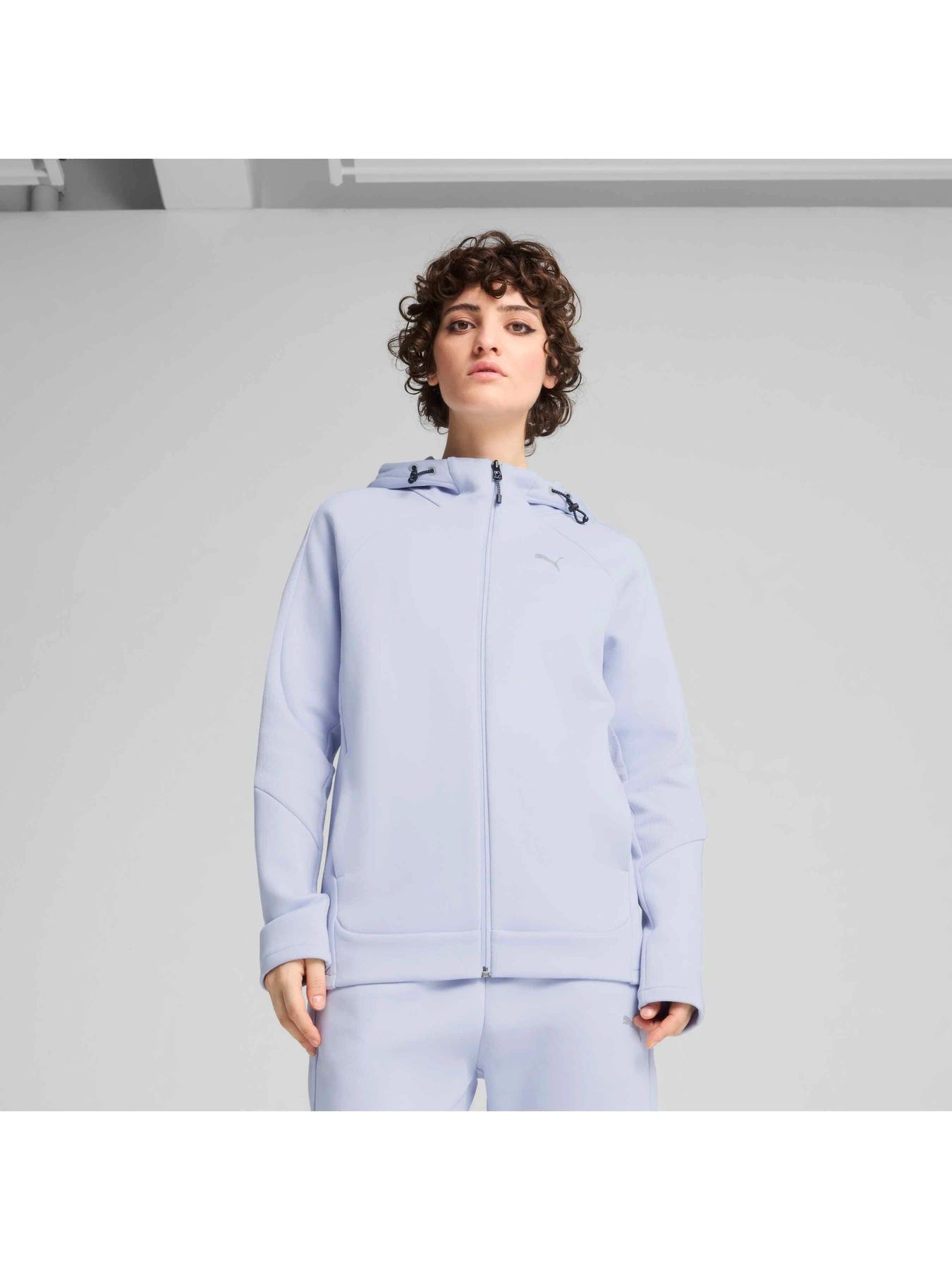 Худи и свитшоты PUMA Evostripe Full-zip Hoodie модель 685050 Худи и свитшоты PUMA Evostripe Full-zip Hoodie модель 685050 Фото