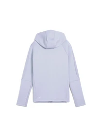 Худи и свитшоты PUMA Evostripe Full-zip Hoodie модель 685050 Фото