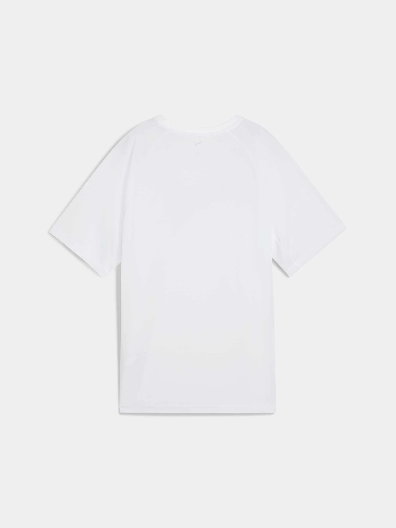 Футболки и поло PUMA Evostripe Relaxed Tee модель 685048 Фото
