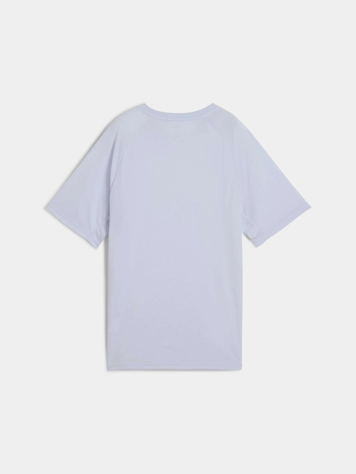 Футболки и поло PUMA Evostripe Relaxed Tee модель 685048 Футболки и поло PUMA Evostripe Relaxed Tee модель 685048 Фото