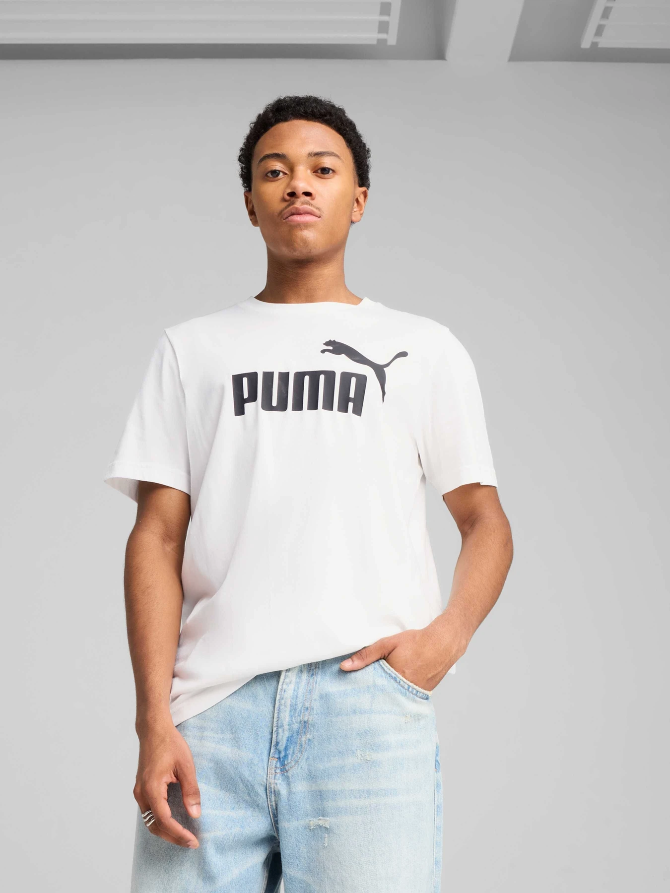 Футболки и поло PUMA Ess No. 1 Logo Tee модель 682532 Футболки и поло PUMA Ess No. 1 Logo Tee модель 682532 Фото