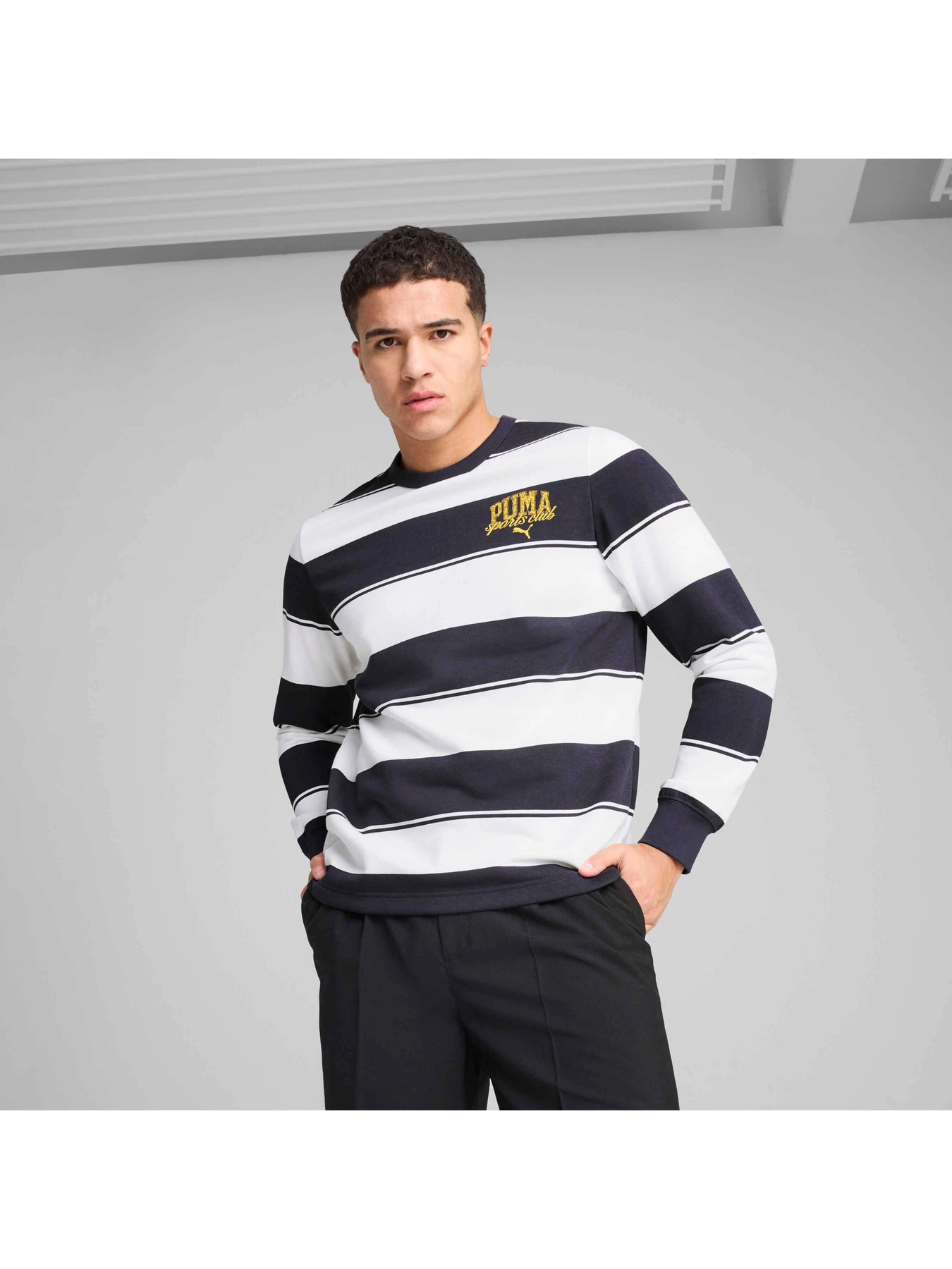 Худі та світшоти PUMA Class Striped Crew модель 684647 Худі та світшоти PUMA Class Striped Crew модель 684647 Фото