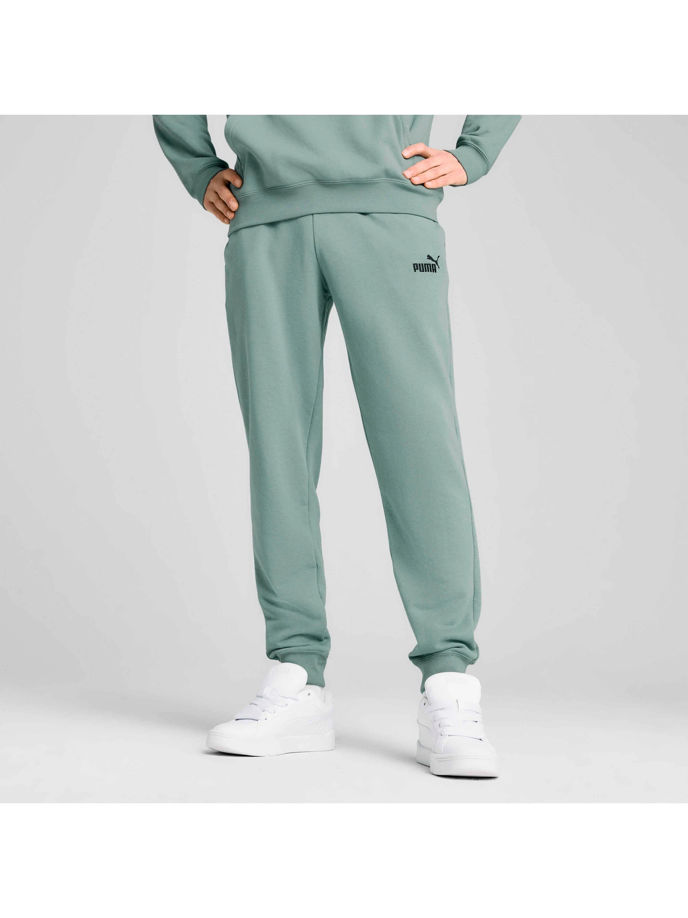 Брюки PUMA Ess No. 1 Logo Sweatpants модель 682609 Фото