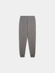 Брюки PUMA Ess No. 1 Logo Sweatpants модель 682609 Фото