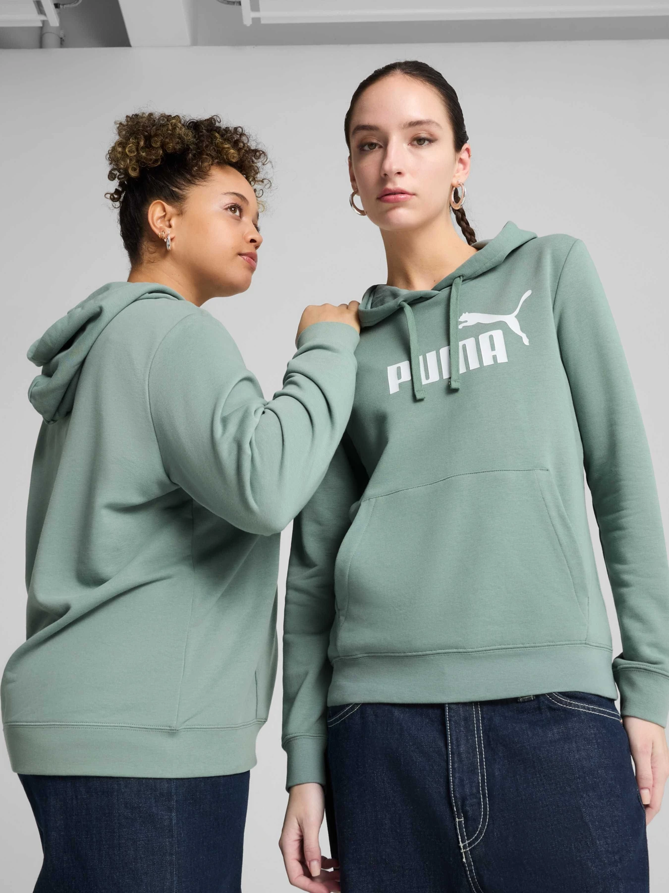 Худи и свитшоты PUMA Ess No. 1 Logo Hoodie модель 682391 Фото