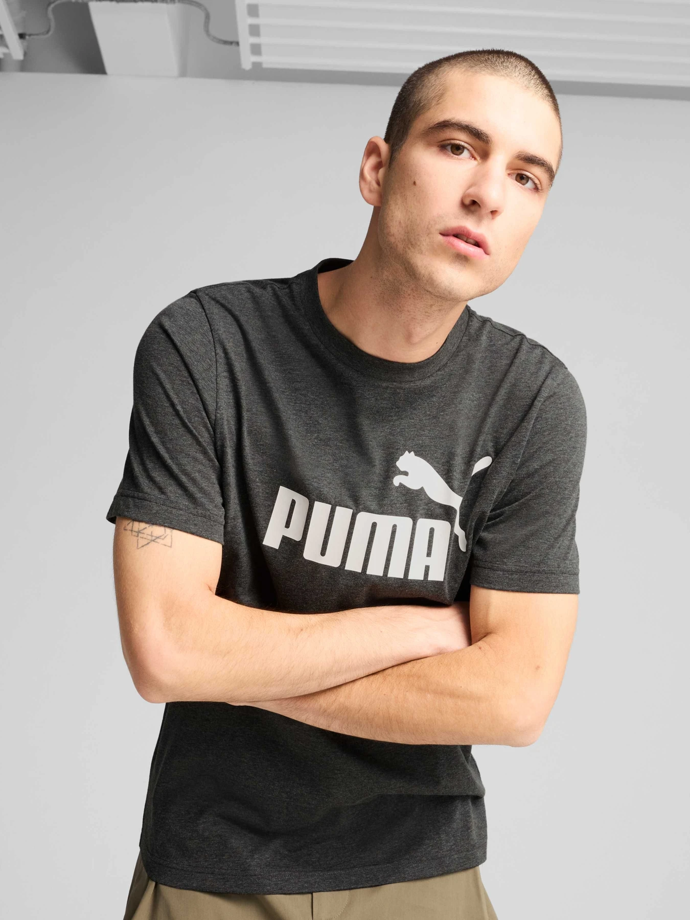Футболки и поло PUMA Ess No. 1 Logo Heather Tee модель 682550 Футболки и поло PUMA Ess No. 1 Logo Heather Tee модель 682550 Фото