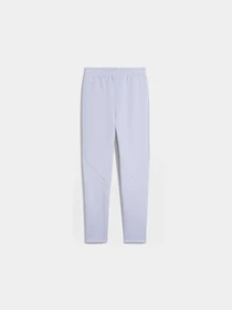 Штани PUMA Evostripe Sweatpants модель 685051 Фото