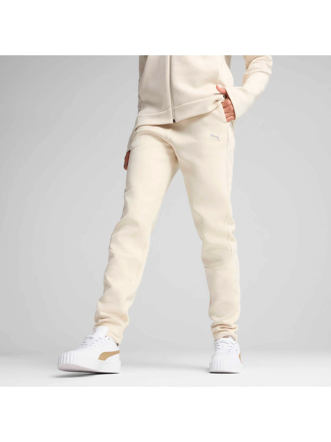 Штани PUMA Evostripe Sweatpants модель 685051 Фото