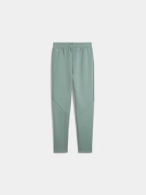 Брюки PUMA Evostripe Sweatpants модель 685051 Фото