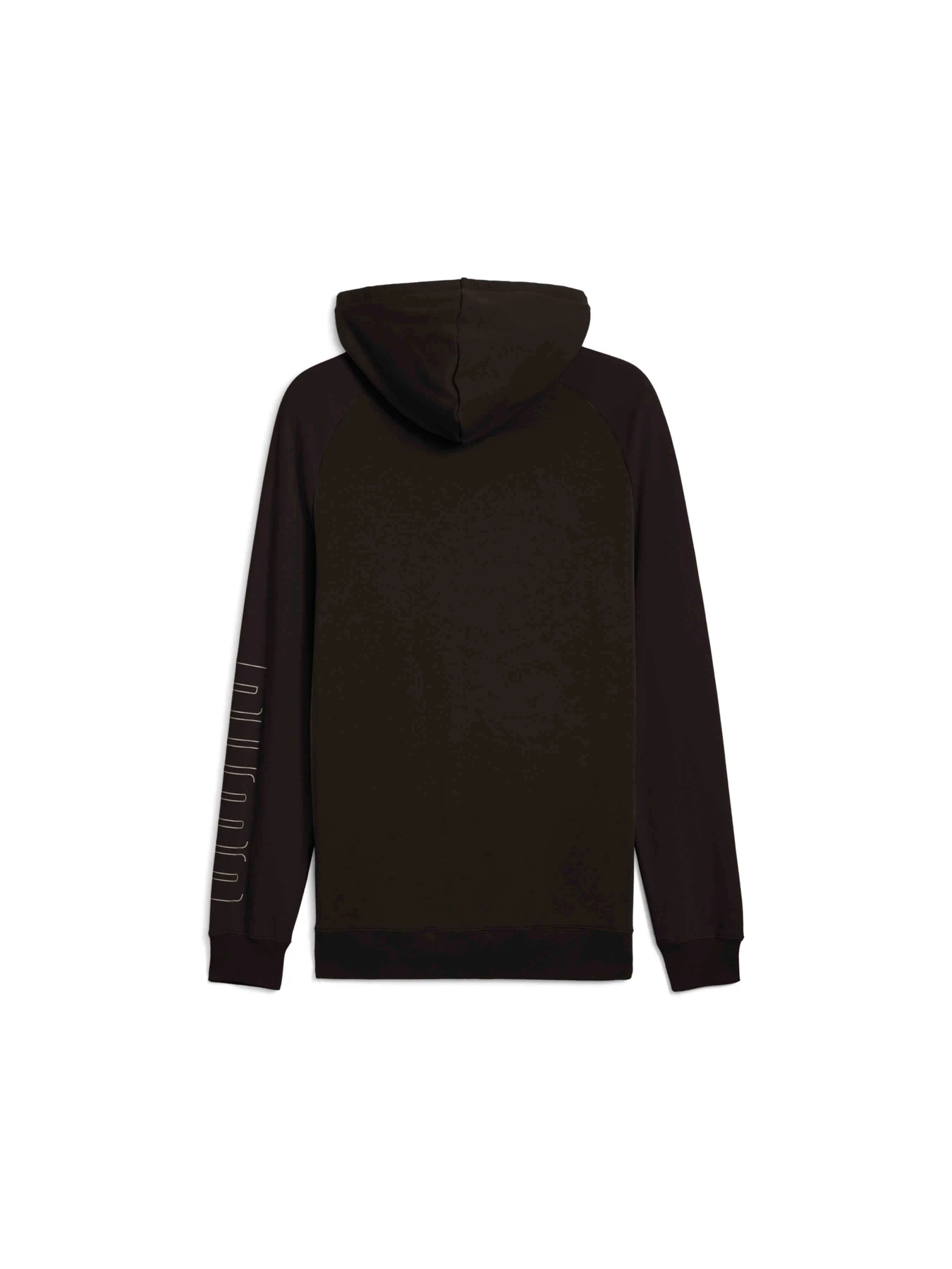 Худі та світшоти PUMA Sport Full-zip Hoodie модель 685599 Худі та світшоти PUMA Sport Full-zip Hoodie модель 685599 Фото