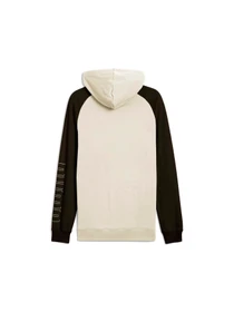 Худи и свитшоты PUMA Sport Full-zip Hoodie модель 685599 Фото