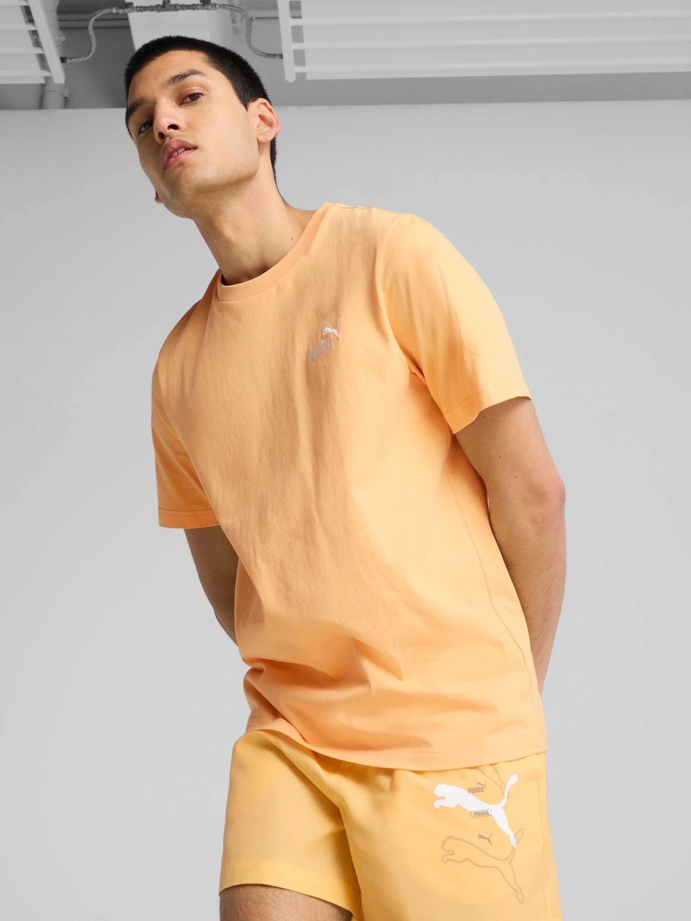 Футболки і поло PUMA Ess Small No. 1 Logo Tee модель 682535 Футболки і поло PUMA Ess Small No. 1 Logo Tee модель 682535 Фото