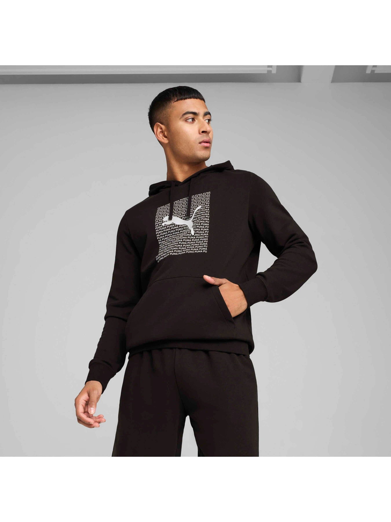 Худи и свитшоты PUMA Ess Logo Lab Hoodie модель 687280 Худи и свитшоты PUMA Ess Logo Lab Hoodie модель 687280 Фото