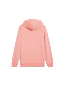 Худи и свитшоты PUMA Ess 2 Color Logo Hoodie модель 684719 Фото