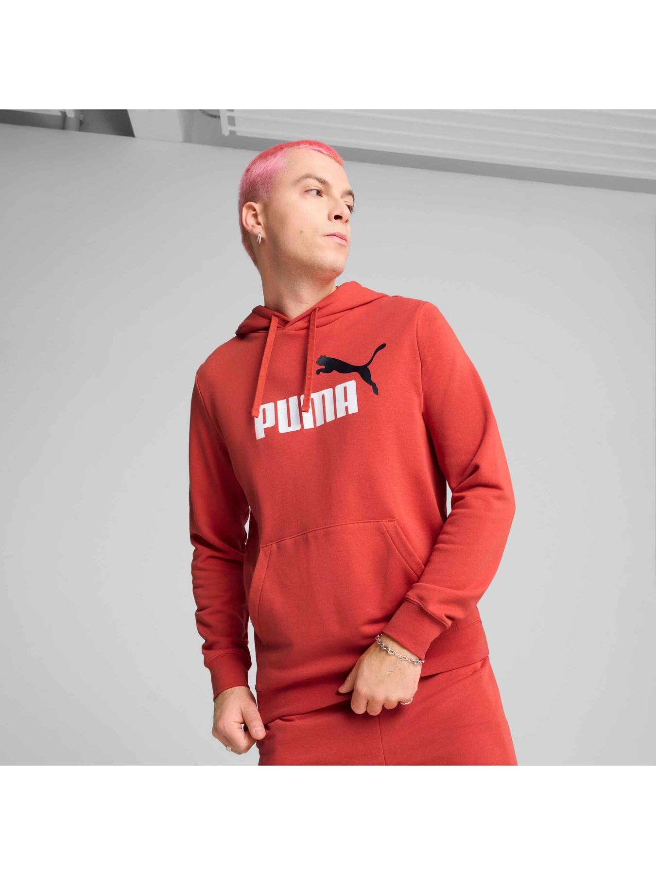 Худі та світшоти PUMA Ess 2 Color Logo Hoodie модель 684712 Худі та світшоти PUMA Ess 2 Color Logo Hoodie модель 684712 Фото