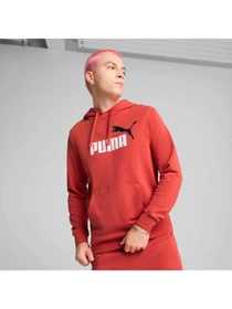 Худі та світшоти PUMA Ess 2 Color Logo Hoodie модель 684712 Фото