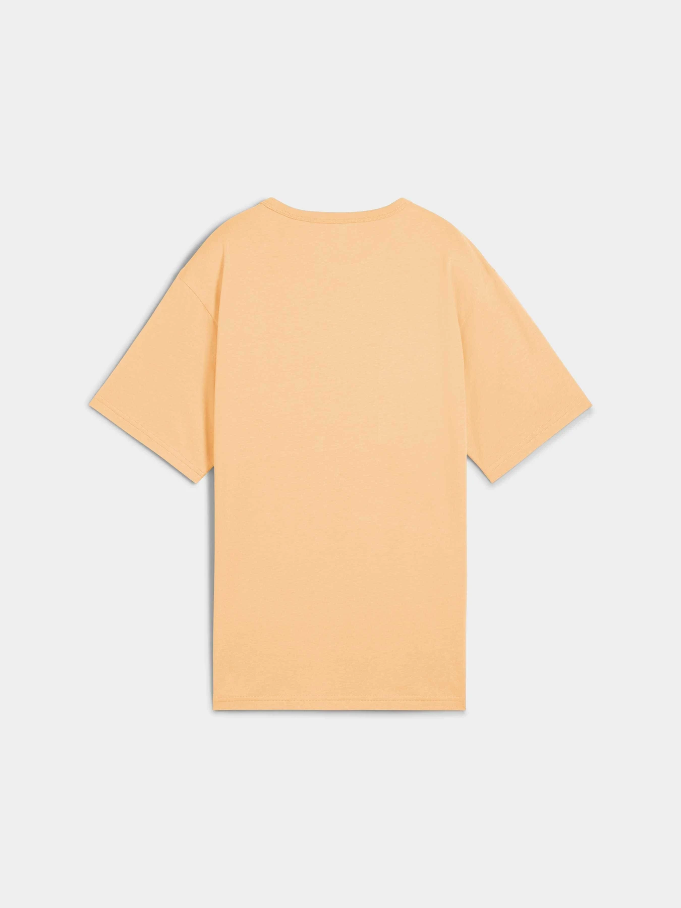 Футболки и поло PUMA Class Relaxed Tee модель 685031 Футболки и поло PUMA Class Relaxed Tee модель 685031 Фото