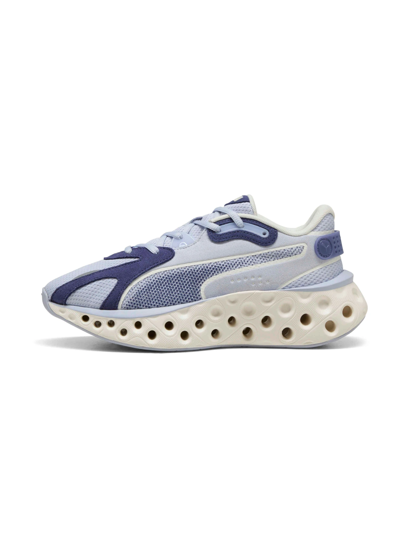 Кроссовки PUMA Softride Frequence Wns модель 310556 Фото