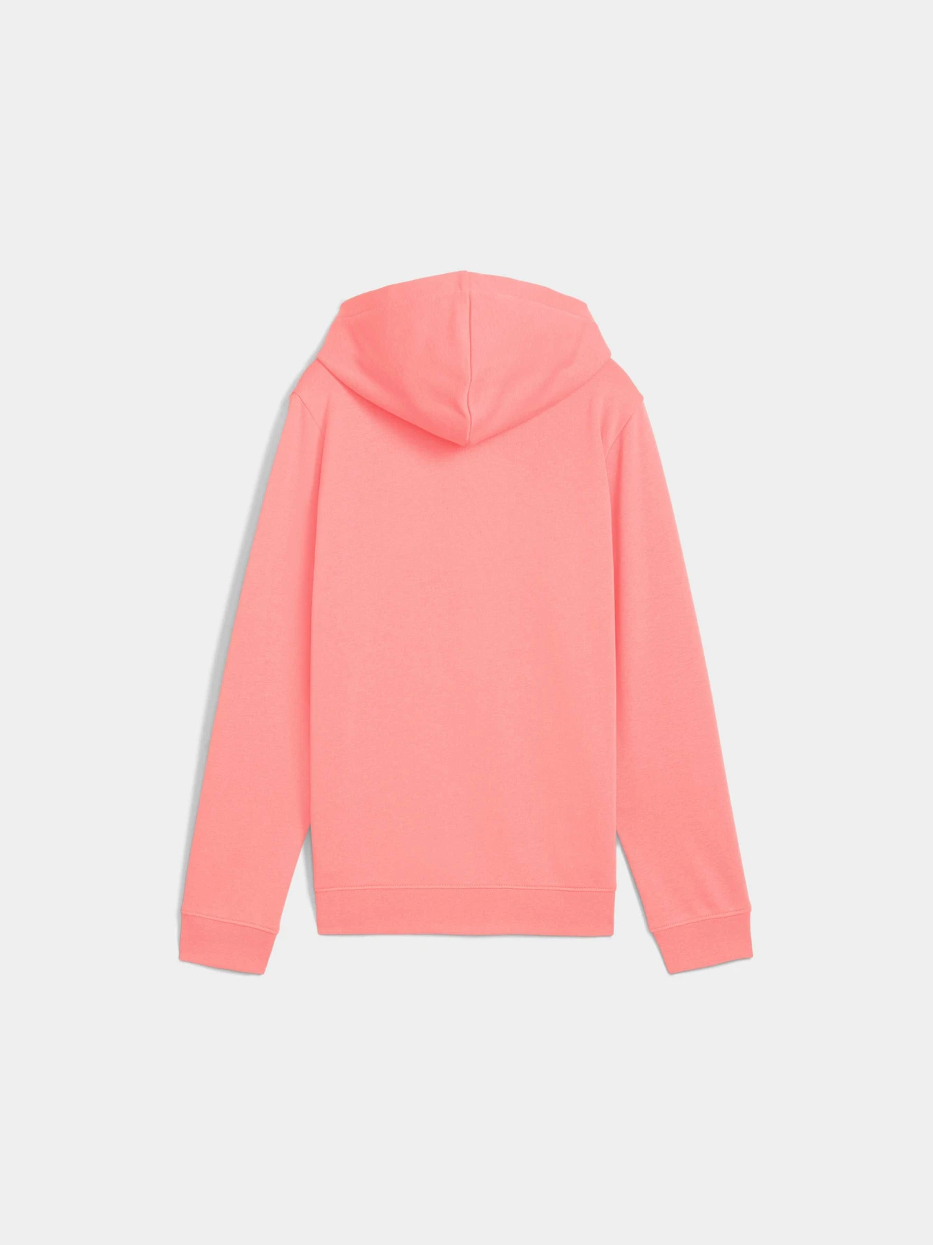 Худи и свитшоты PUMA Ess Script Hoodie модель 685806 Фото