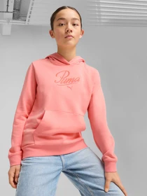 Худи и свитшоты PUMA Ess Script Hoodie модель 685806 Фото