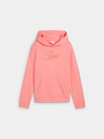 Худи и свитшоты PUMA Ess Script Hoodie модель 685806 Фото