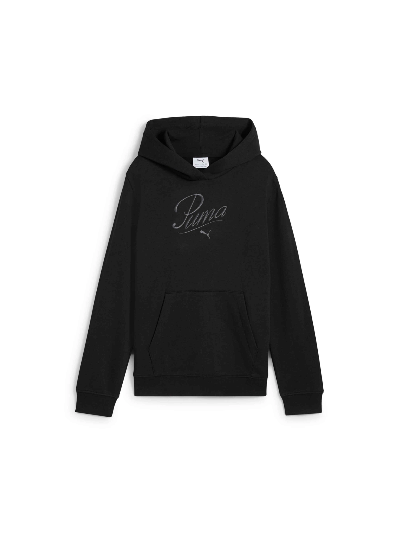 Худи и свитшоты PUMA Ess Script Hoodie модель 685806 Фото