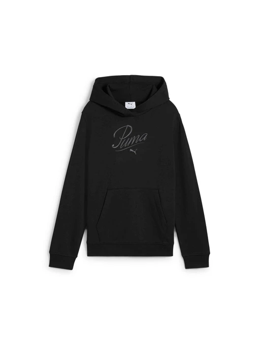 Худи и свитшоты PUMA Ess Script Hoodie модель 685806 Фото