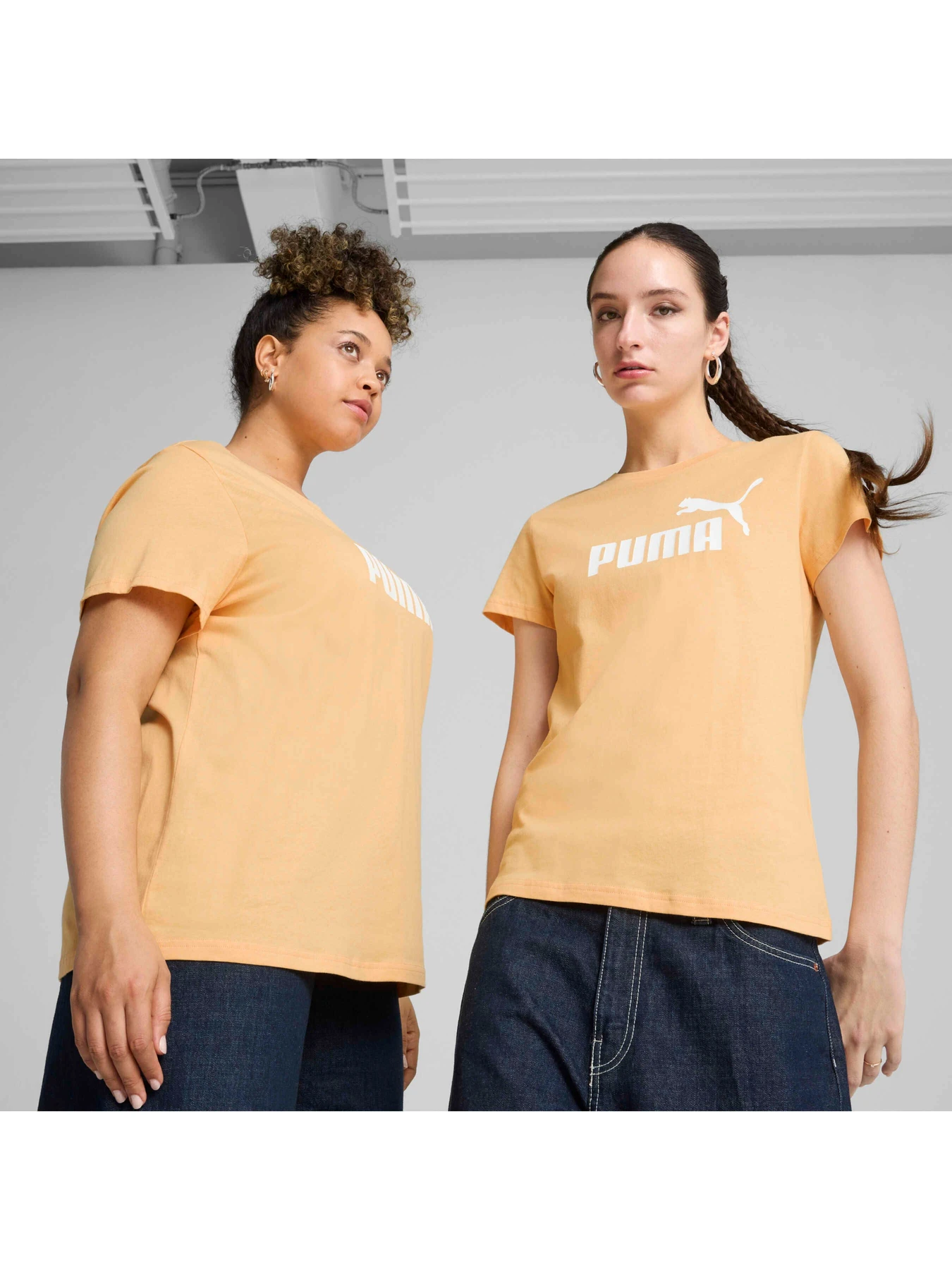 Футболки и поло PUMA Ess No. 1 Logo Tee модель 682371 Фото