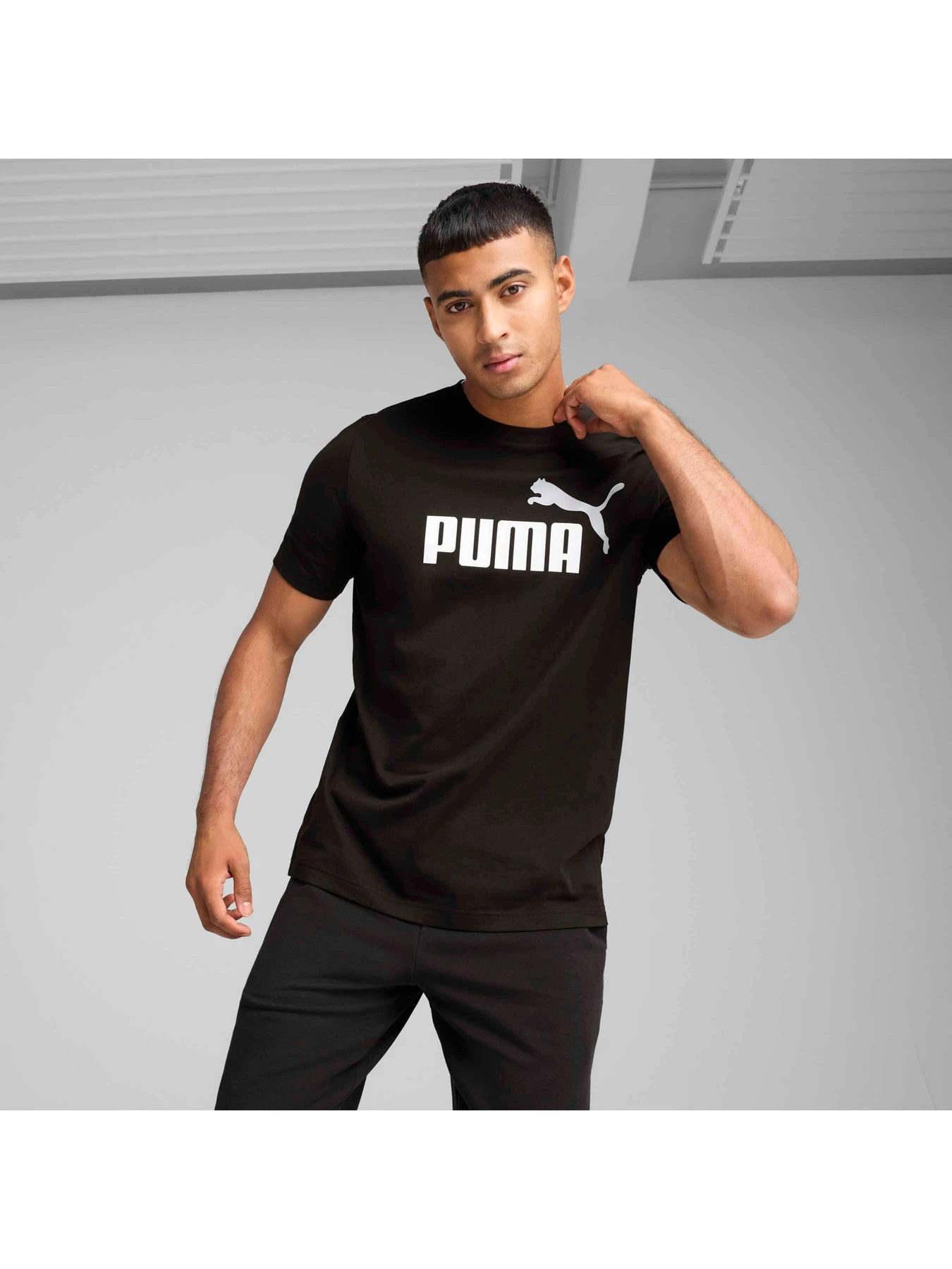 Футболки і поло PUMA Ess 2 Color No. 1 Logo Tee модель 684708 Футболки і поло PUMA Ess 2 Color No. 1 Logo Tee модель 684708 Фото