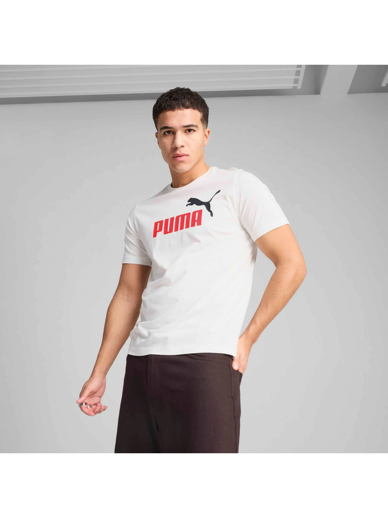 Футболки і поло PUMA Ess 2 Color No. 1 Logo Tee модель 684708 Футболки і поло PUMA Ess 2 Color No. 1 Logo Tee модель 684708 Фото