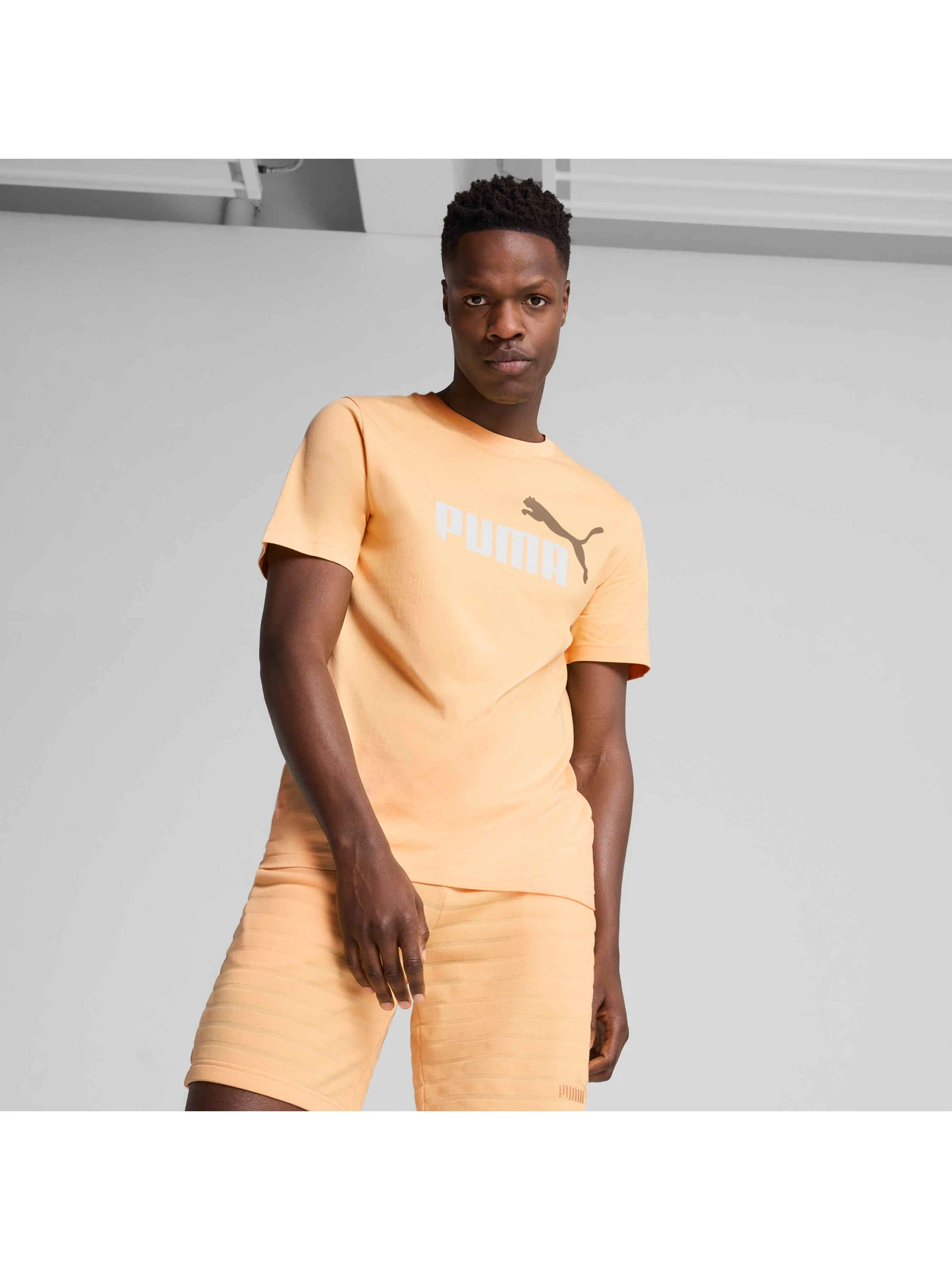 Футболки і поло PUMA Ess 2 Color No. 1 Logo Tee модель 684708 Футболки і поло PUMA Ess 2 Color No. 1 Logo Tee модель 684708 Фото