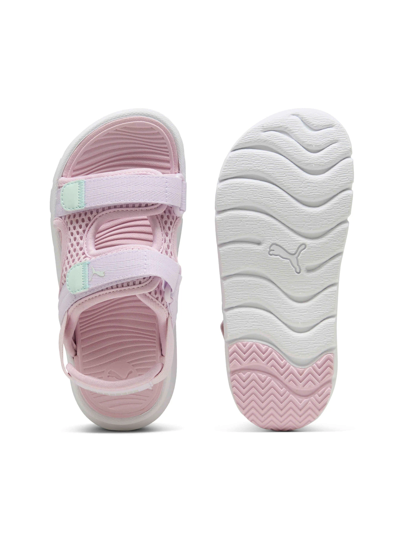 Сандалии PUMA Evolve Sandal Ps модель 389147 Фото
