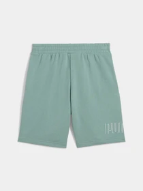 Шорты PUMA Sport Graphic Shorts модель 684623 Фото